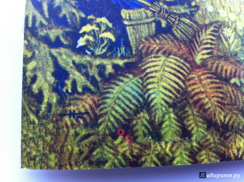 Иллюстрация 39 из 64 для У лукоморья дуб зеленый - Александр Пушкин | Лабиринт - книги. Источник: ИрМур
