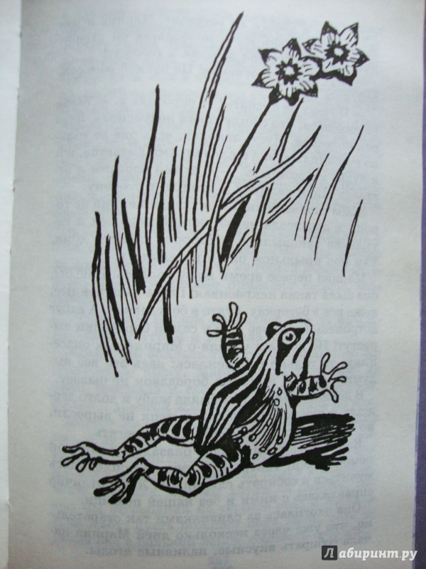 Иллюстрация 10 из 32 для Забавные животные - Вера Чаплина | Лабиринт - книги. Источник: Ш.  Алла