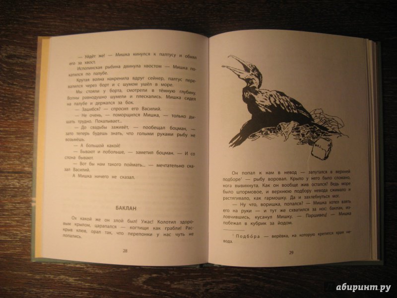 Иллюстрация 30 из 53 для Необыкновенный заплыв - Николай Рыжих | Лабиринт - книги. Источник: Эля