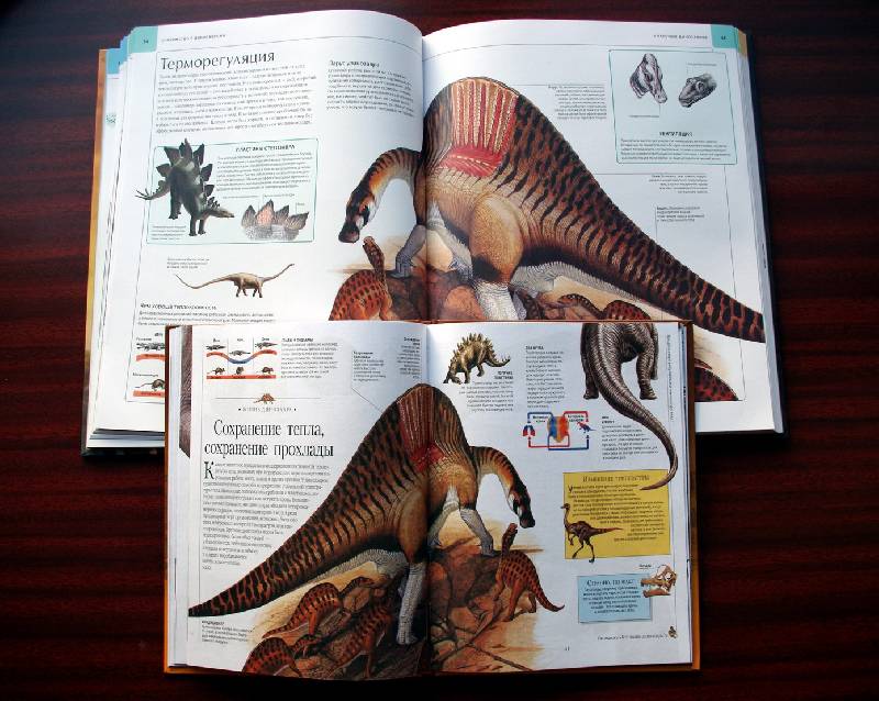 Иллюстрация 30 из 45 для Динозавры и рептилии | Лабиринт - книги. Источник: Валерия