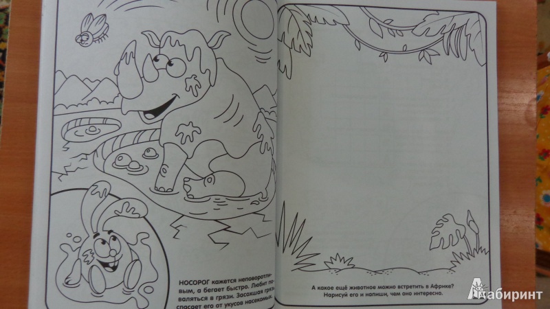 Иллюстрация 4 из 7 для Супер раскраска "Смешарики. Животные мира" (№ 1109) | Лабиринт - книги. Источник: Ander