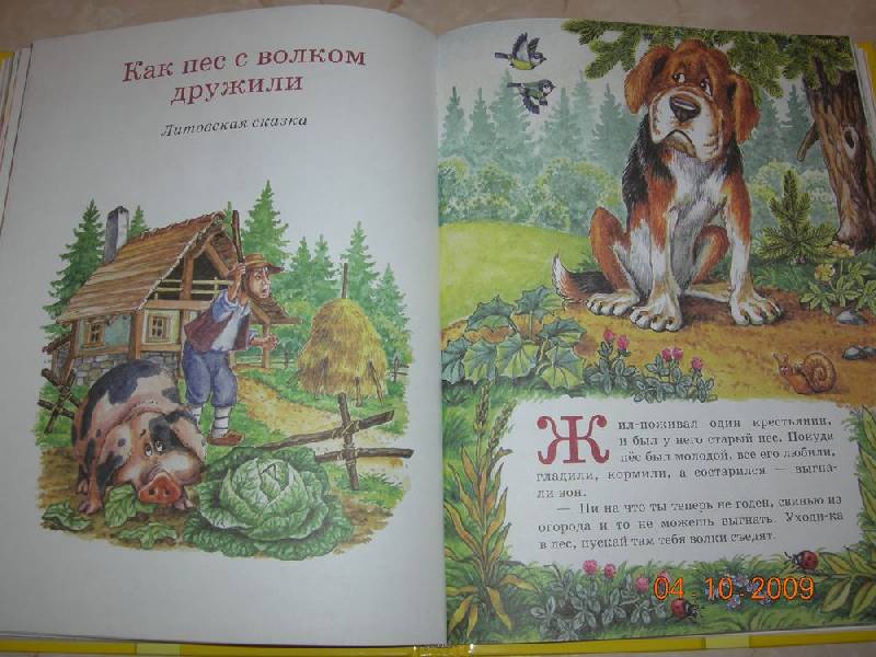 Иллюстрация 7 из 53 для Сказки дедушки Барбоса | Лабиринт - книги. Источник: Соловей