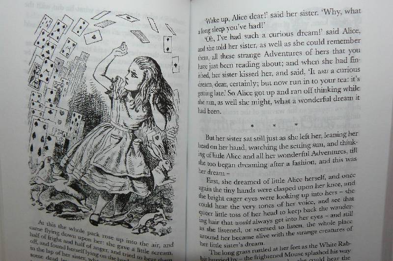 Иллюстрация 17 из 24 для Alice in Wonderland and Through the Looking-Glass - Lewis Carroll | Лабиринт - книги. Источник: zair