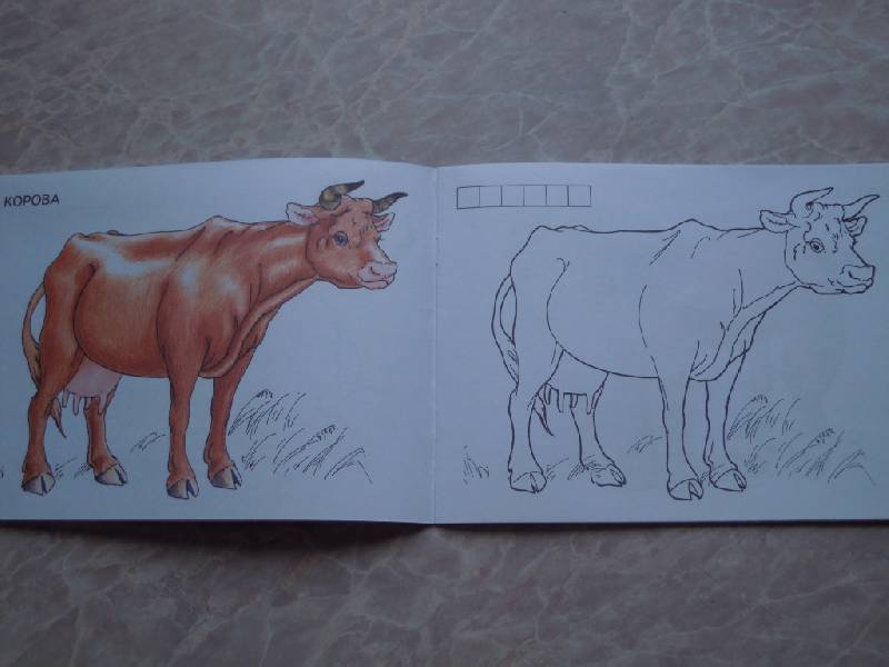 Иллюстрация 2 из 5 для Домашние животные | Лабиринт - книги. Источник: Iwolga