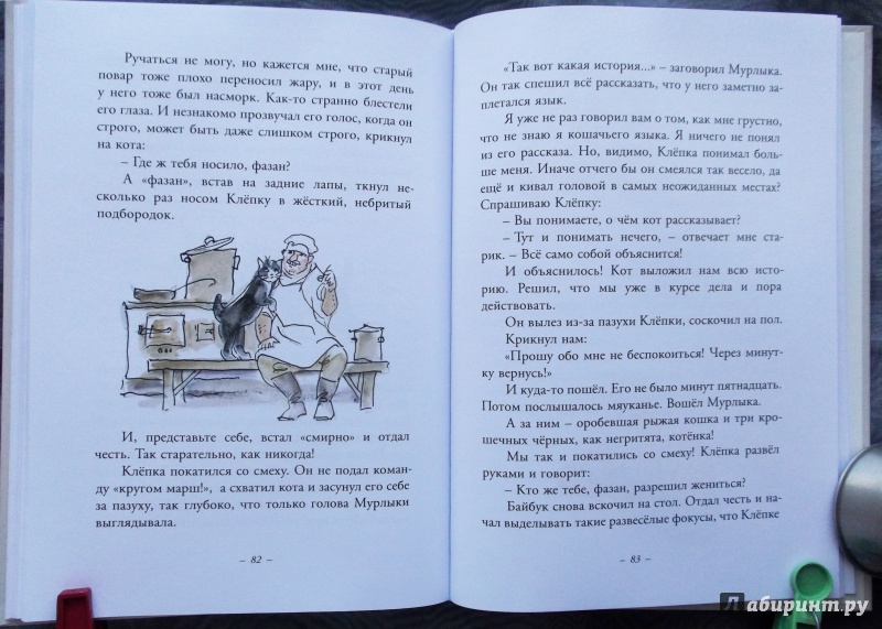 Иллюстрация 41 из 43 для Муха с капризами - Ян Грабовский | Лабиринт - книги. Источник: Агаточка
