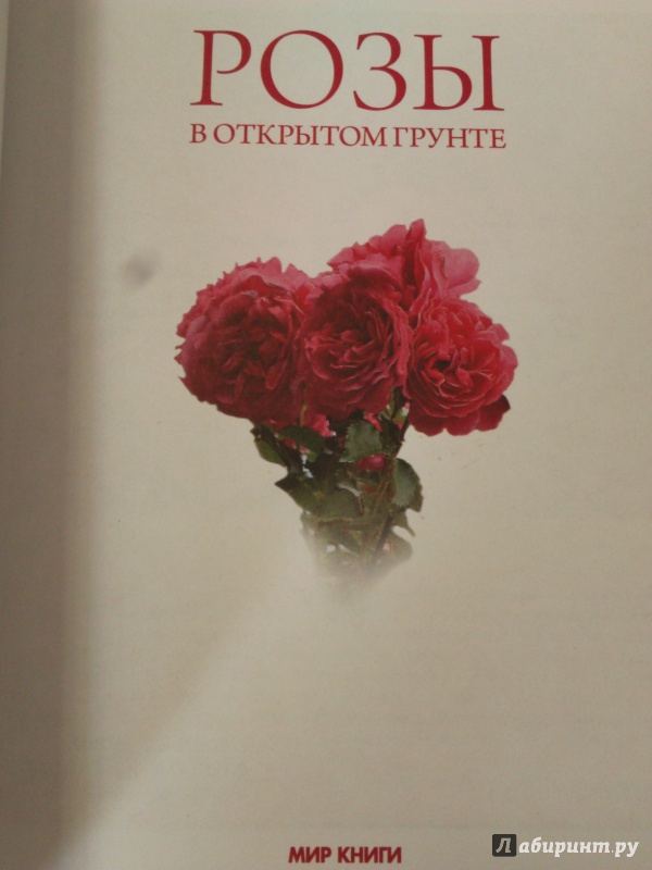 Иллюстрация 3 из 10 для Розы в открытом грунте - Ольга Яковлева | Лабиринт - книги. Источник: Салус