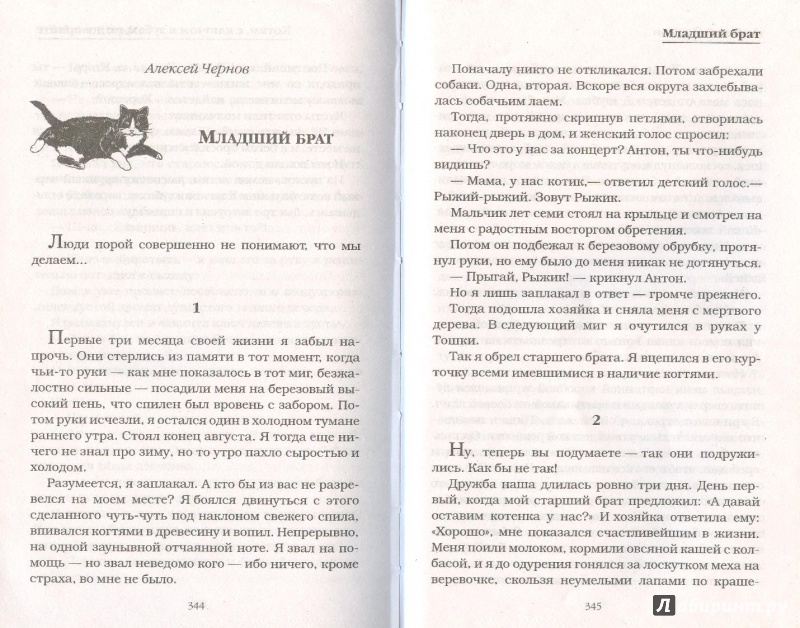 Иллюстрация 19 из 20 для КОТастрофа | Лабиринт - книги. Источник: Яровая Ирина