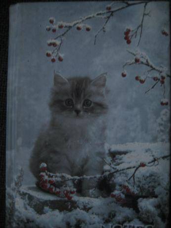 Иллюстрация 2 из 5 для Блокнот 80 листов (2433) "Котенок в снегу" | Лабиринт - канцтовы. Источник: kitteyn