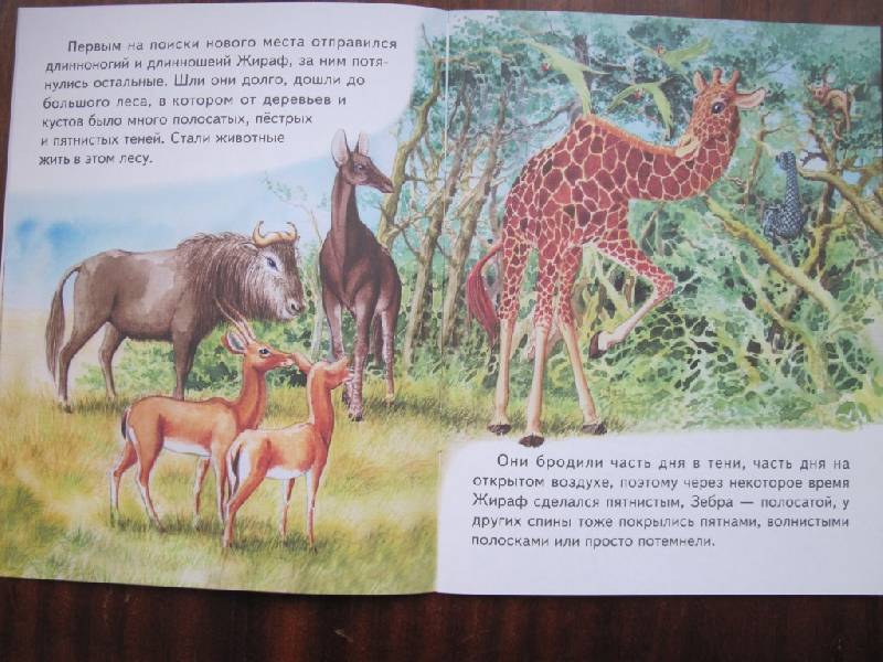 Иллюстрация 5 из 20 для Как леопард стал пятнистым - Редьярд Киплинг | Лабиринт - книги. Источник: Само Совершенство