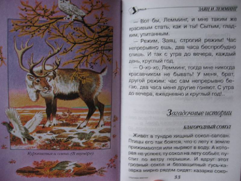 Иллюстрация 15 из 16 для Разговоры животных - Николай Сладков | Лабиринт - книги. Источник: Юта