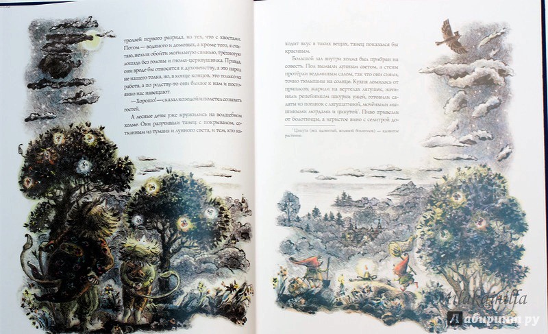 Иллюстрация 77 из 88 для Волшебный холм - Ганс Андерсен | Лабиринт - книги. Источник: Букландия