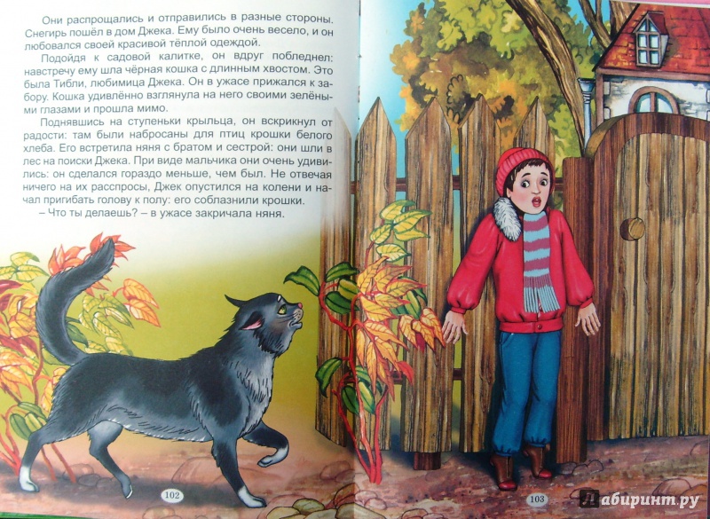 Иллюстрация 46 из 50 для Радужные сказки | Лабиринт - книги. Источник: Соловьев  Владимир