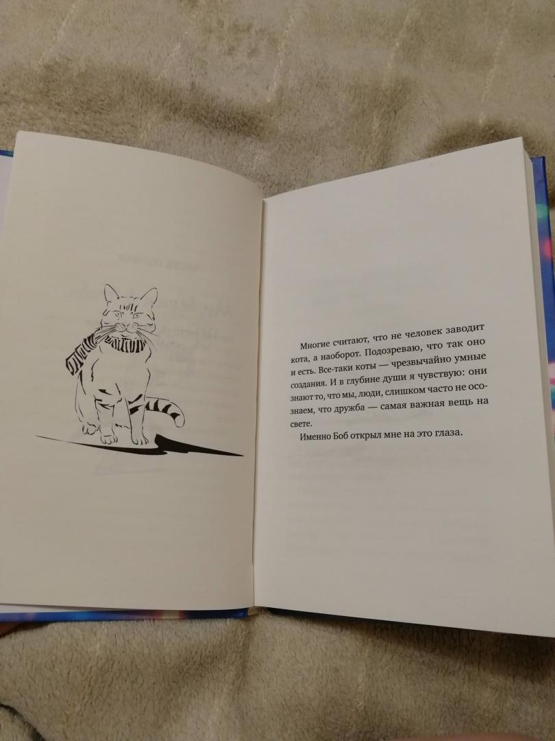 Иллюстрация 11 из 35 для Тайна уличного кота - Джеймс Боуэн | Лабиринт - книги. Источник: zabluTshaya