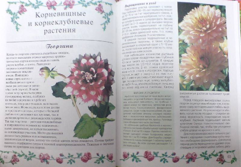 Иллюстрация 3 из 20 для Любимые цветы - Ганичкина, Ганичкин | Лабиринт - книги. Источник: Настёна