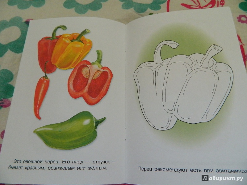 Иллюстрация 18 из 19 для Раскраска "Овощи" | Лабиринт - книги. Источник: Nnatalek