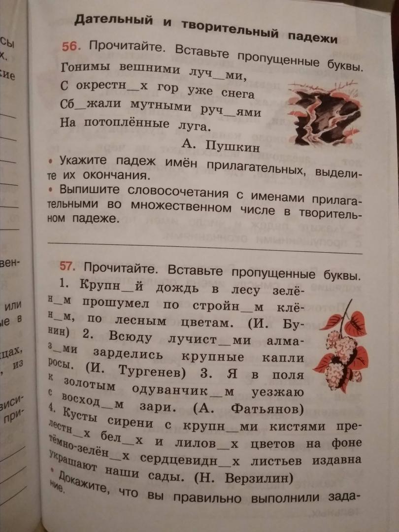 Иллюстрация 18 из 28 для Русский язык. 4 класс. Рабочая тетрадь. В 2-х частях. ФГОС - Валентина Канакина | Лабиринт - книги. Источник: Елена Тукатут