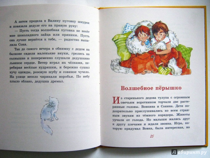 Иллюстрация 33 из 33 для Пуговка - Анна Доброчасова | Лабиринт - книги. Источник: leontyua