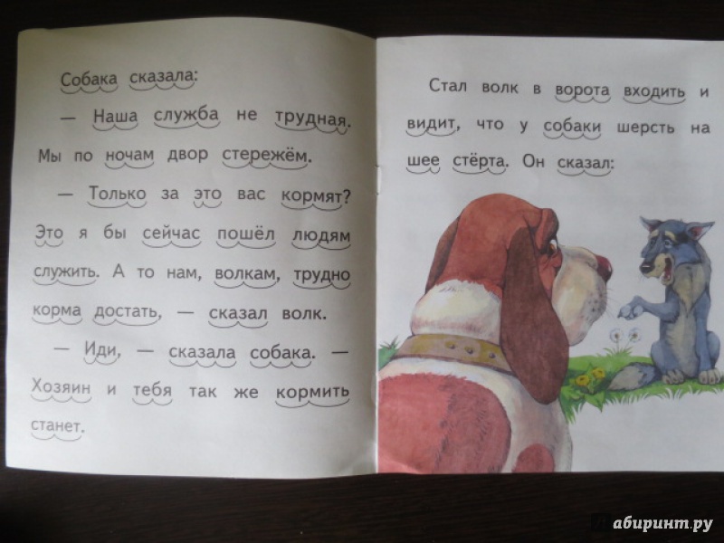 Иллюстрация 10 из 24 для Волк и собака - Лев Толстой | Лабиринт - книги. Источник: Анечка