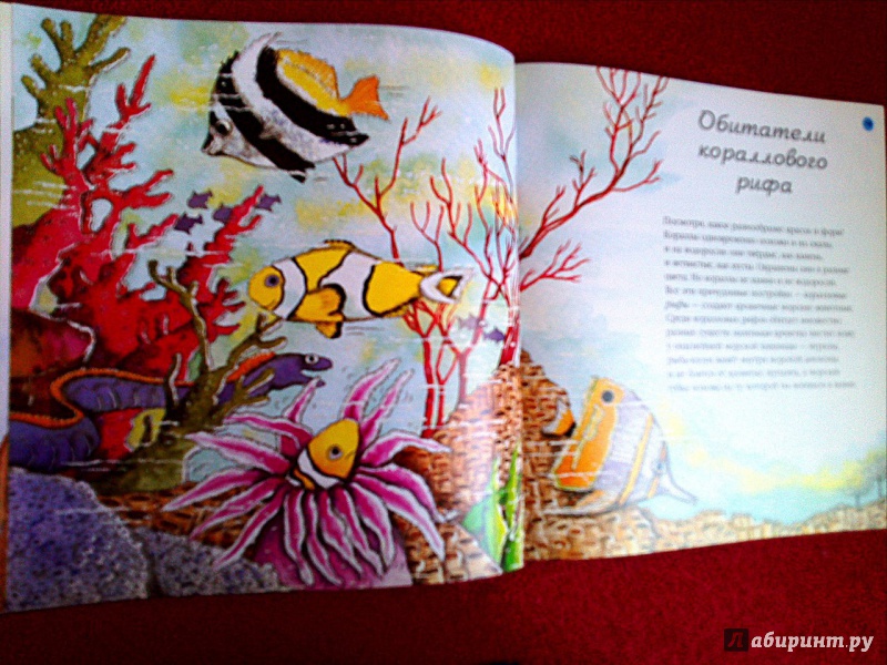 Иллюстрация 20 из 32 для Море - Нуриа Рока | Лабиринт - книги. Источник: Ира Похвалит
