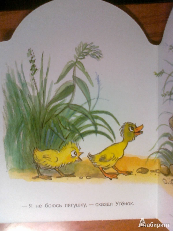 Иллюстрация 8 из 13 для Цыпленок и Утенок - Владимир Сутеев | Лабиринт - книги. Источник: Kirenzia