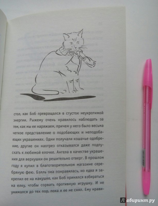 Иллюстрация 51 из 58 для Подарок от кота Боба - Джеймс Боуэн | Лабиринт - книги. Источник: Хазарадзе  Анна Сергеевна