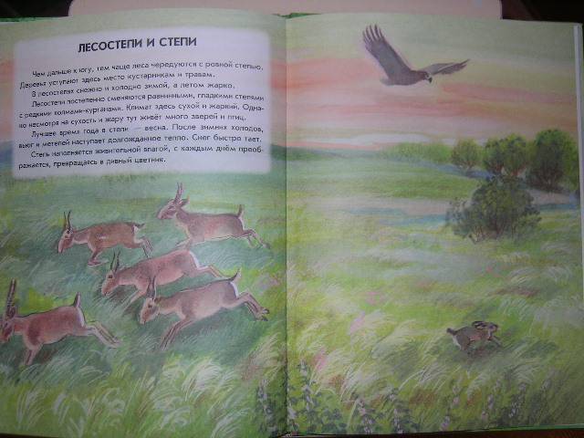 Иллюстрация 34 из 40 для Азбука живой природы - Александр Барков | Лабиринт - книги. Источник: Матюша