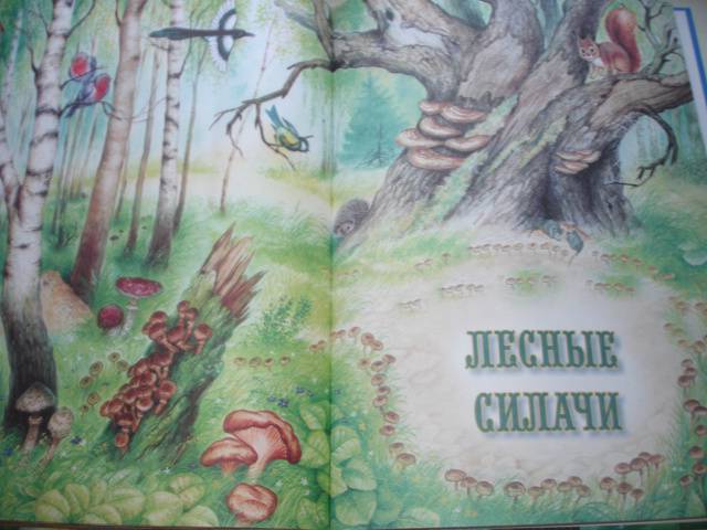 Иллюстрация 20 из 23 для Лучшие сказки о природе - Бианки, Сладков | Лабиринт - книги. Источник: Осьминожка