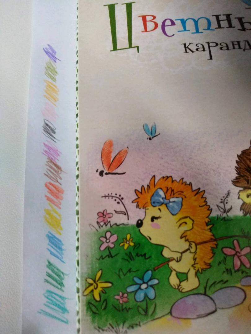 Иллюстрация 4 из 4 для Карандаши цветные, 12 цветов "Ежик", шестигранные (СК027/12) | Лабиринт - канцтовы. Источник: Плитинь  Жанна