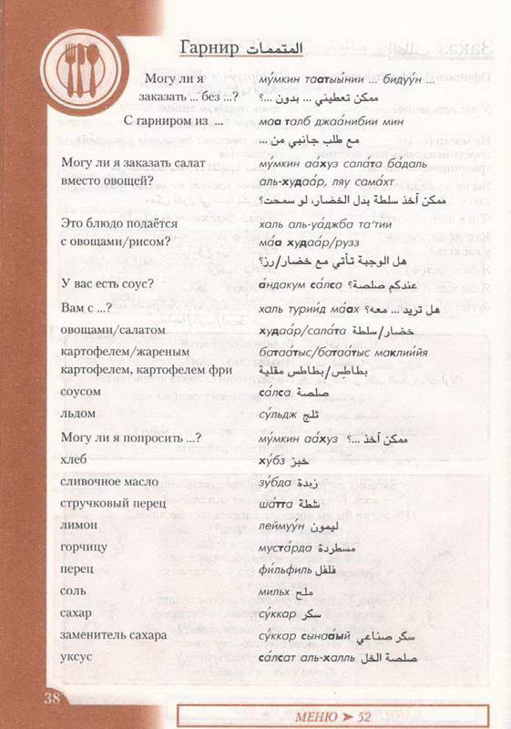 Иллюстрация 7 из 14 для Арабский разговорник и словарь (книга + CD) | Лабиринт - книги. Источник: Ялина