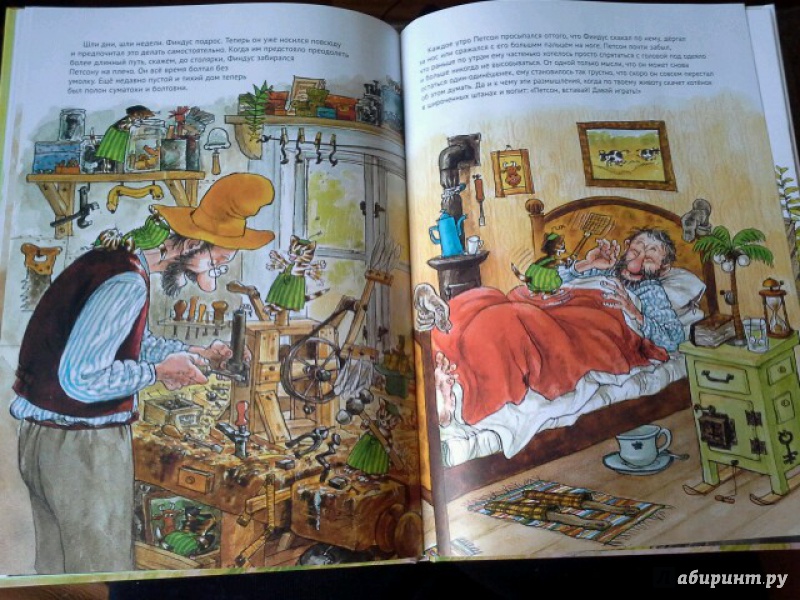 Иллюстрация 66 из 102 для История о том как Финдус потерялся, когда был маленьким - Свен Нурдквист | Лабиринт - книги. Источник: Юлия