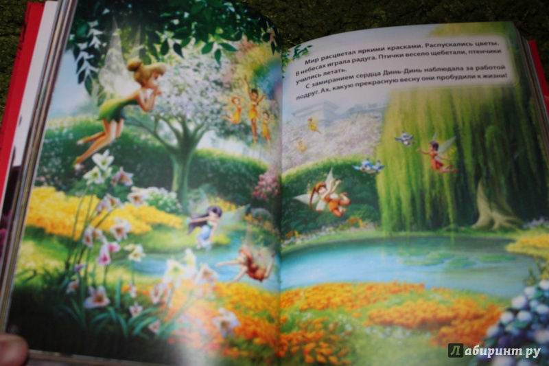 Иллюстрация 19 из 28 для Сказки о феях. Золотая коллекция Disney | Лабиринт - книги. Источник: Наташа няша