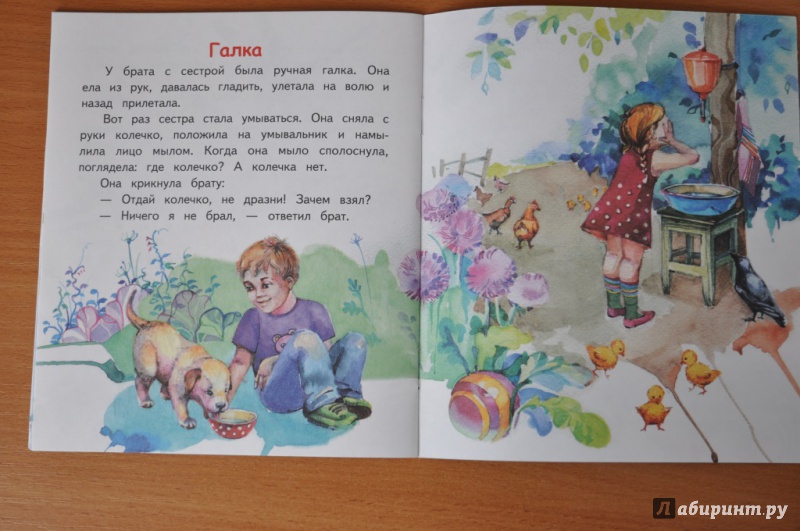 Иллюстрация 32 из 32 для Храбрый утёнок - Борис Житков | Лабиринт - книги. Источник: Евгения Переляева