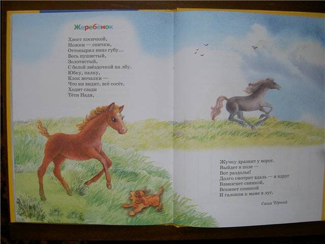 Иллюстрация 10 из 19 для Стихи про зверят | Лабиринт - книги. Источник: HappyJul