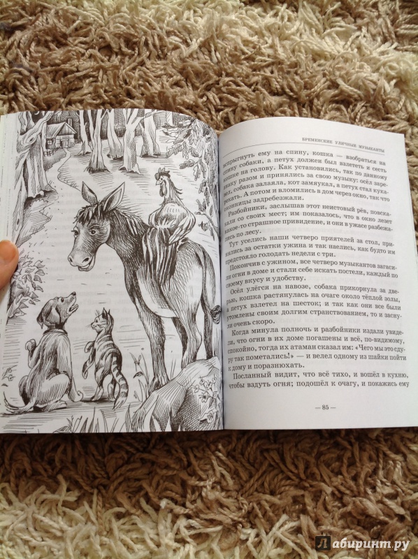 Иллюстрация 27 из 44 для Сказки зарубежных писателей - Андерсен, Перро, Гримм | Лабиринт - книги. Источник: Хранительница книг