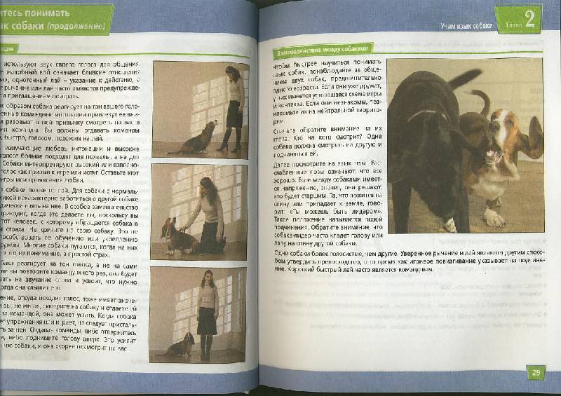 Иллюстрация 18 из 20 для Дрессировка собак. Визуальное пособие - Сара Ходсон | Лабиринт - книги. Источник: ЛиС-а