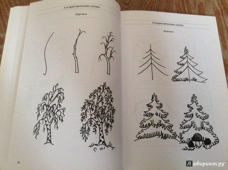 Иллюстрация 7 из 12 для Обучение рисованию дошкольников 5-7 лет по алгоритмическим схемам. ФГОС - Наталья Леонова | Лабиринт - книги. Источник: Непутевая мамашка