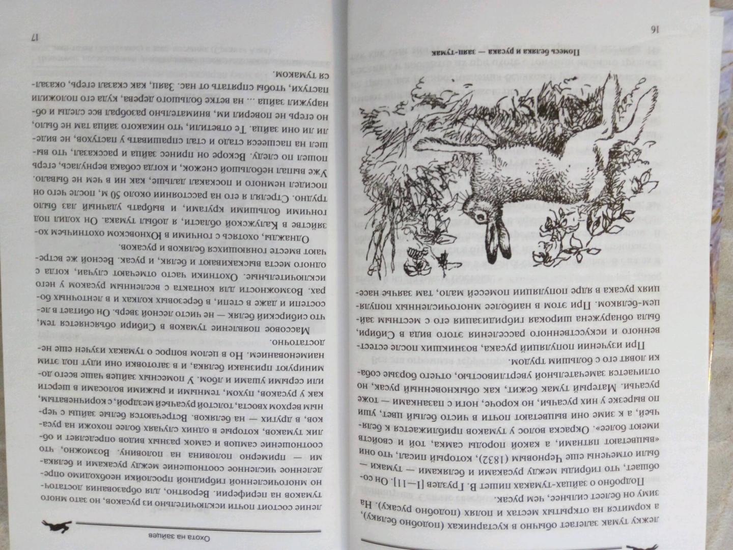 Иллюстрация 4 из 10 для Охота на зайцев - Владислав Окунь | Лабиринт - книги. Источник: Катеринка A