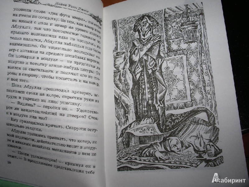 Иллюстрация 7 из 36 для Воздушный замок - Диана Джонс | Лабиринт - книги. Источник: Tiger.
