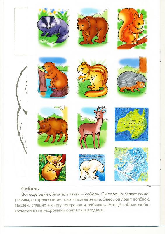 Иллюстрация 4 из 12 для Раскраска с наклейками "Животные России" (07365) - О. Комарова | Лабиринт - книги. Источник: радуга-дуга