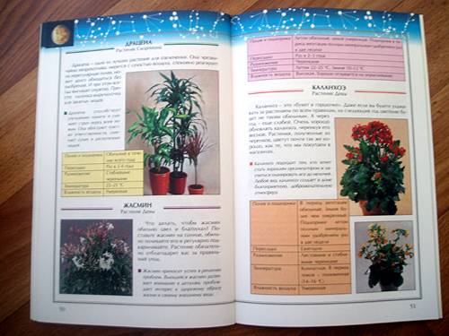 Иллюстрация 7 из 7 для Комнатные растения. Лунный календарь до 2010 года - Галина Синявская | Лабиринт - книги. Источник: Galia