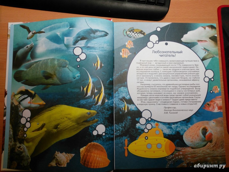 Иллюстрация 23 из 30 для Жизнь океана - Александр Тихонов | Лабиринт - книги. Источник: Горяева  Любовь