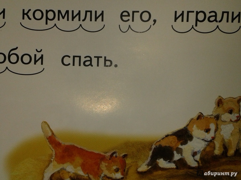 Иллюстрация 10 из 30 для Котёнок - Лев Толстой | Лабиринт - книги. Источник: Написатель