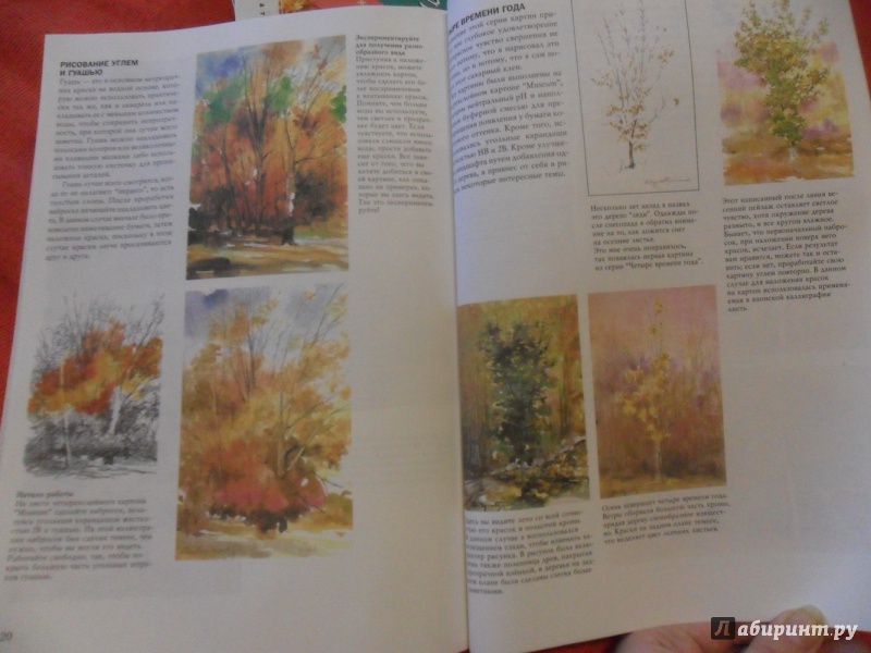 Иллюстрация 30 из 61 для Деревья - Стенли Молцмен | Лабиринт - книги. Источник: sleits