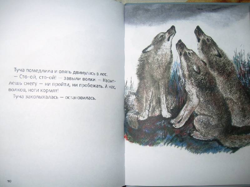 Иллюстрация 12 из 14 для Воробьишкина весна - Николай Сладков | Лабиринт - книги. Источник: Ирина Викторовна
