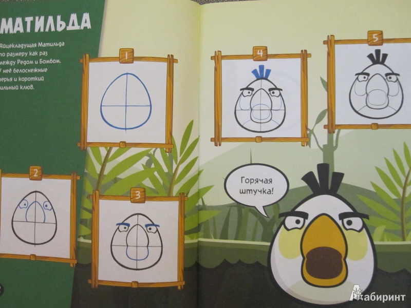 Иллюстрация 12 из 12 для Рисуем Angry Birds - Кристина Марроквин-Барр | Лабиринт - книги. Источник: Данилова  Наталья Викторовна