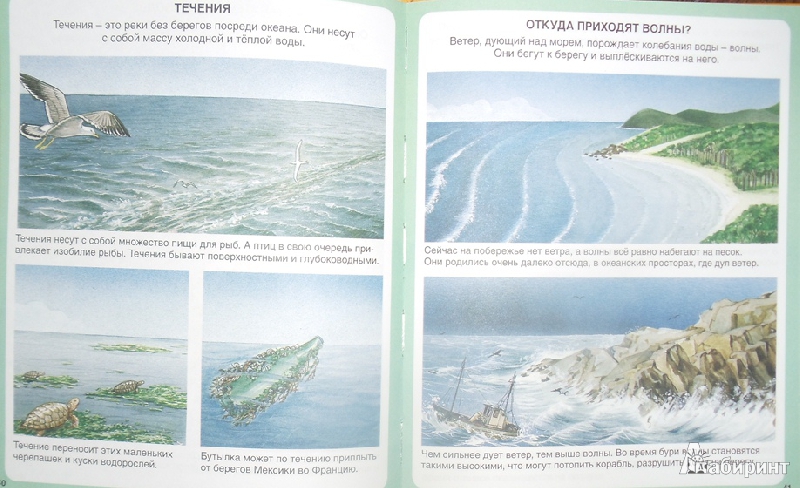 Иллюстрация 10 из 45 для Тайны моря - Мари-Рене Пимон | Лабиринт - книги. Источник: О.  Катерина