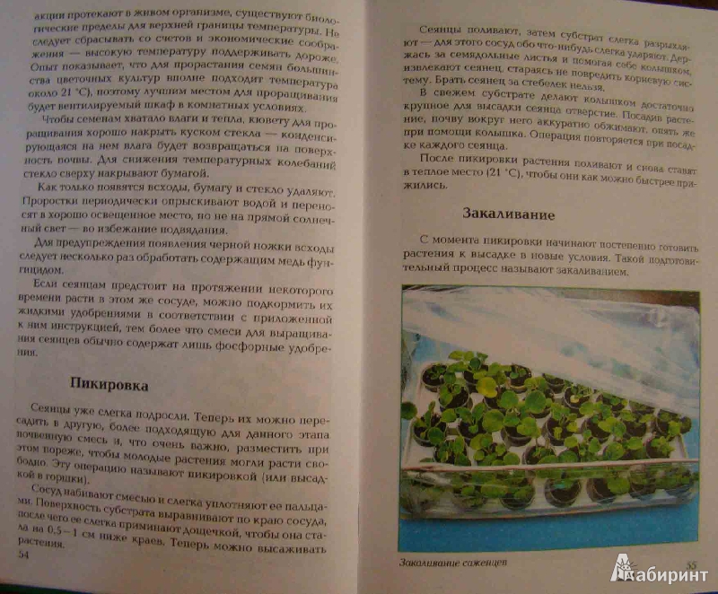Иллюстрация 8 из 11 для Размножение растений - Т.В. Алдохина | Лабиринт - книги. Источник: Easy