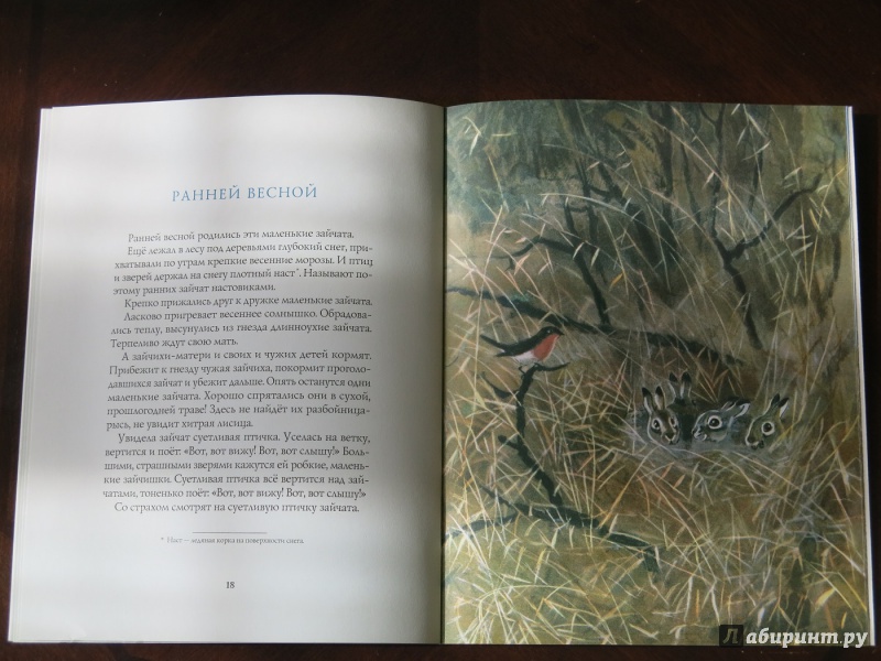 Иллюстрация 33 из 35 для Весна в лесу - Иван Соколов-Микитов | Лабиринт - книги. Источник: anschaffen