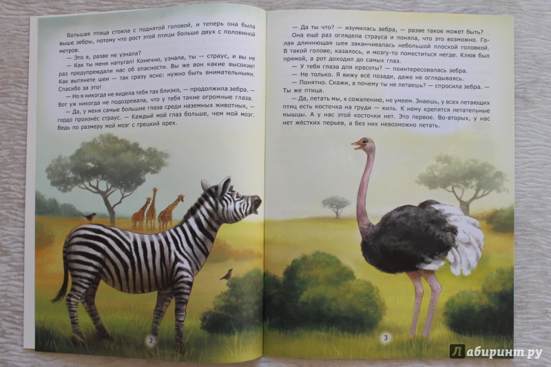 Иллюстрация 24 из 31 для Заботы страуса - Лариса Тарасенко | Лабиринт - книги. Источник: По страницам детских книг