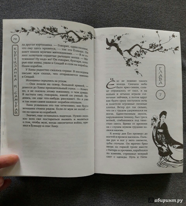 Иллюстрация 21 из 27 для Куртизанка и самурай - Лесли Доунер | Лабиринт - книги. Источник: Markiza_angeloff